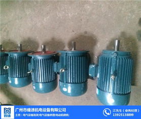 三相異步振動電機 煌速機電專業(yè)電機生產(chǎn)