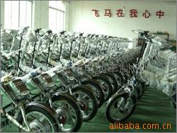 永康市小飛馬電動(dòng)車制造廠